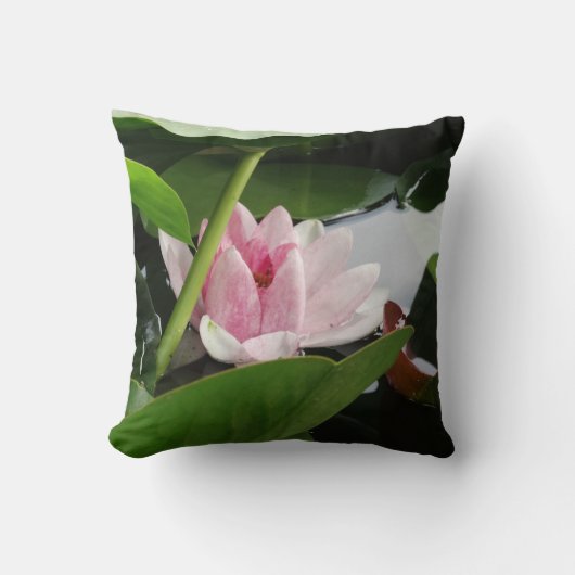 Coussin Eau Lilly Cushion, Réveillé (Recto)