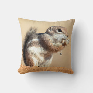 Coussin écureuil antilope de Harris (Ammospermophilus)