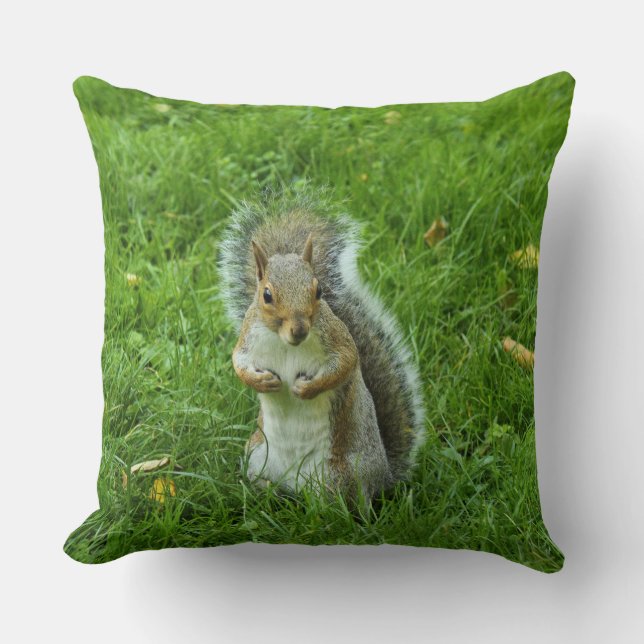 Coussin Écureuil gris, Bute Park, Cardiff (Recto)