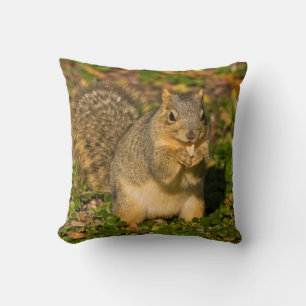 Coussin Écureuil gris, mangeant, cacahuète, Crystal Spring