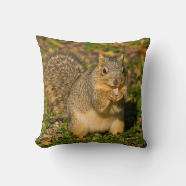 Coussin Écureuil gris, mangeant, cacahuète, Crystal Spring (Recto)