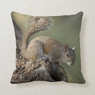 Coussin Écureuil gris oriental ou écureuil gris