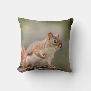 Coussin Écureuil rouge