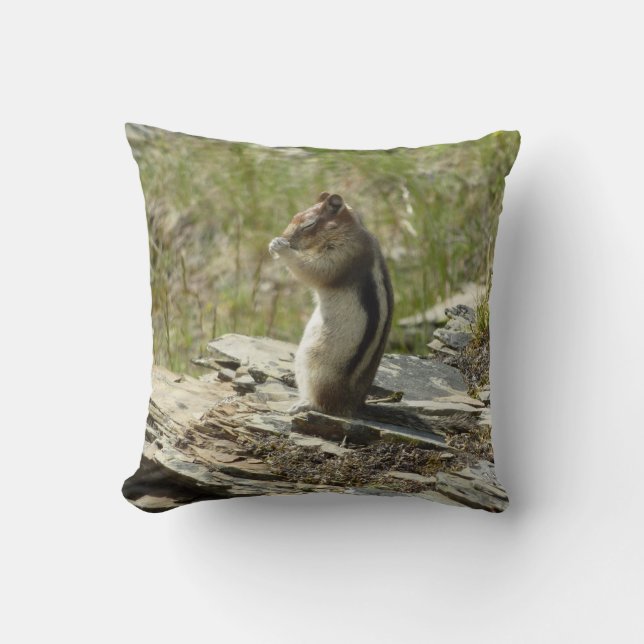 Coussin Écureuil terrestre à manteau doré à Glacier I (Recto)