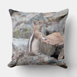 Coussin Écureuil terrestre à manteau doré à Glacier II