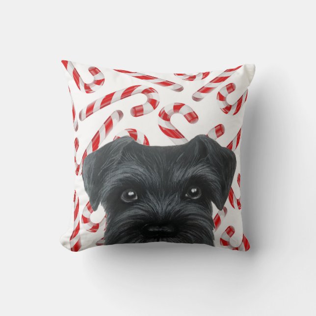 Coussin Édition limitée d'hiver. Schnauzer noir avec la (Recto)