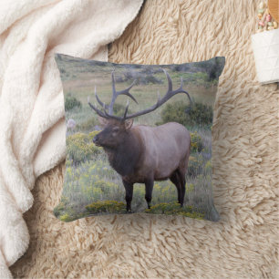 Coussin Élan d'Amérique Parc national de Rocky, Colorado
