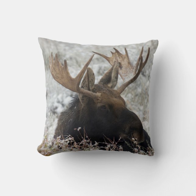Coussin Élan mâle de Shiras (Recto)