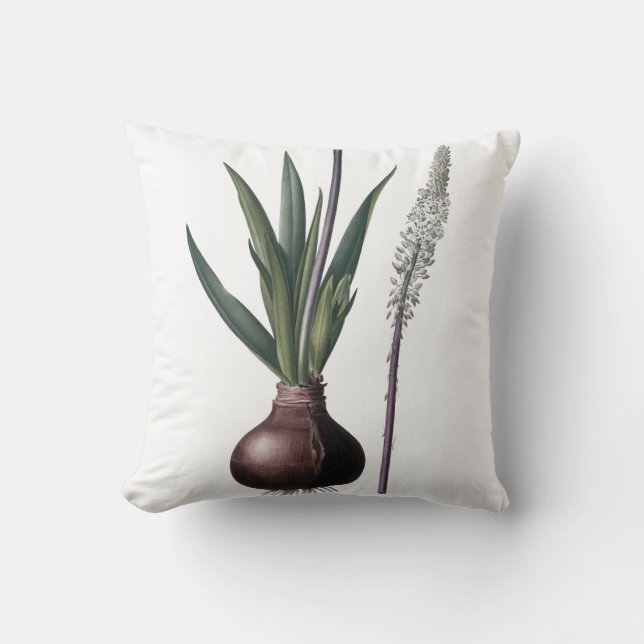 Coussin élégant avec les illustrations botaniques (Recto)