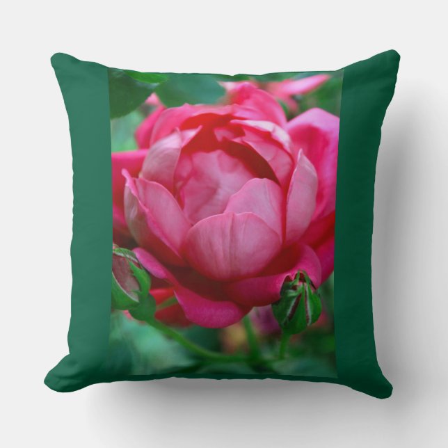 Coussin Elegant Pink Rose Floral Throw Pillow with Dark Gr (Recto)