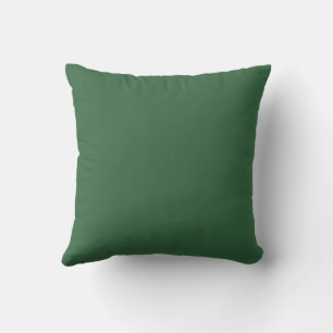 Coussin Elégant vert couleur solide