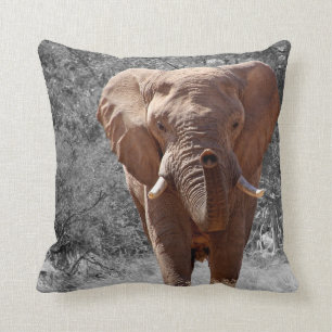 Coussin Éléphant africain
