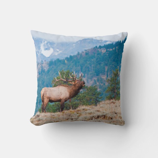 Coussin Elk (Cervus Elephus) Bulle (Recto)
