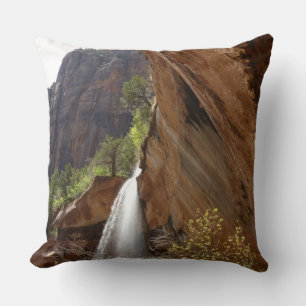 Coussin Emerald Pool Falls III du Parc national de Zion