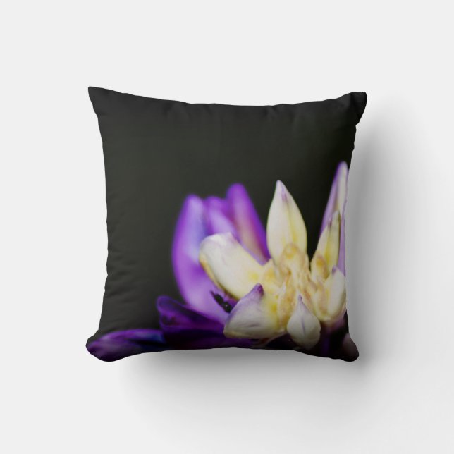 Coussin En amour avec bord noir Lupine (Recto)