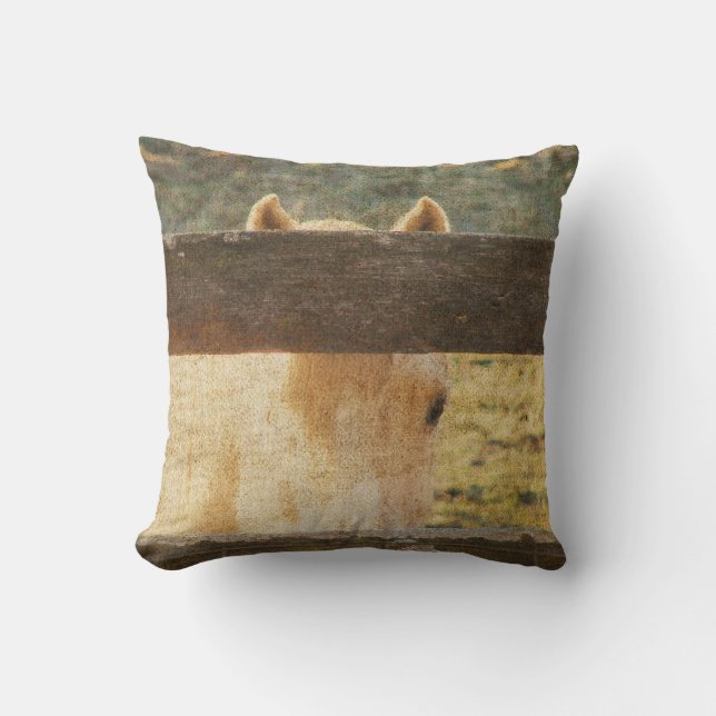 Coussin En Parcourant La clôture (Recto)