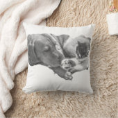 Coussin Ensemble dans la douceur (Couverture)