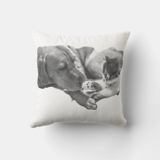 Coussin Ensemble dans la douceur (Verso)