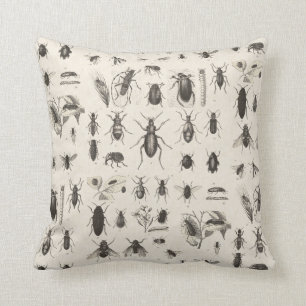 Coussin Entomologie antique d'insectes et d'insectes