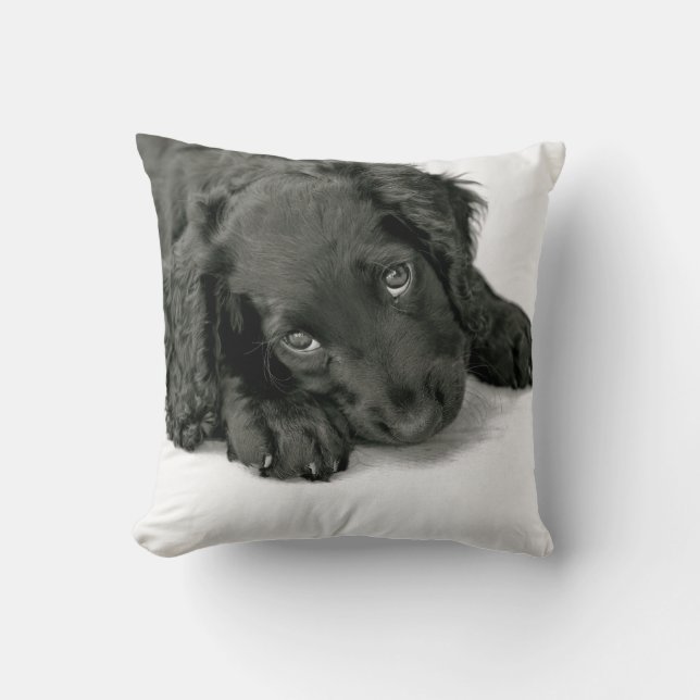 Coussin Épagneul Dave de Sprocker (Recto)