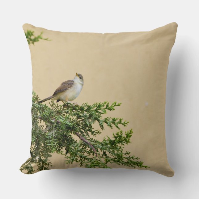Coussin Épervier (Recto)