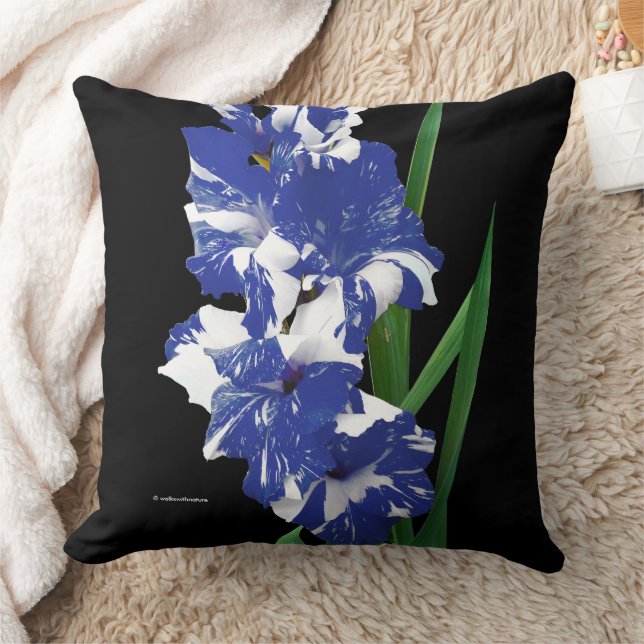 Coussin Époustouflants Glaïeuls Bleu Royal & Blanc (Couverture)