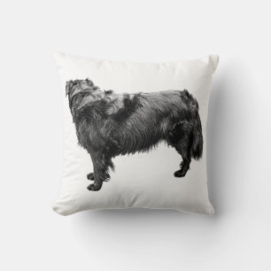 Coussin Equinoxe rustique