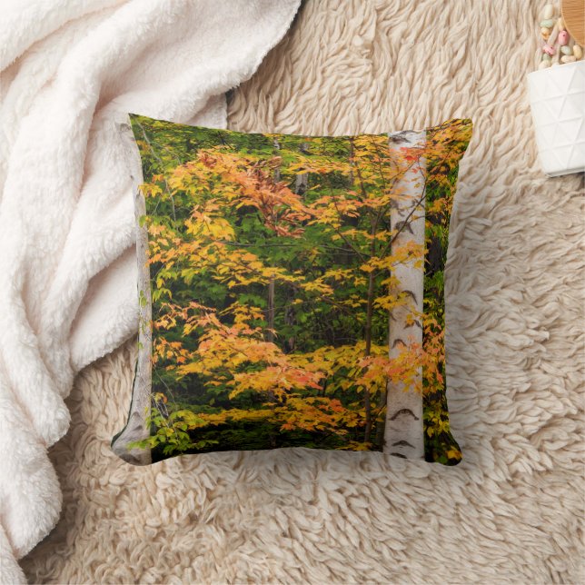 Coussin Érable et bouleau blanc | White Mountains, NH (Couverture)