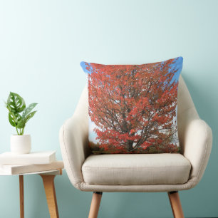 Coussin Érable rouge automnal contre ciel bleu