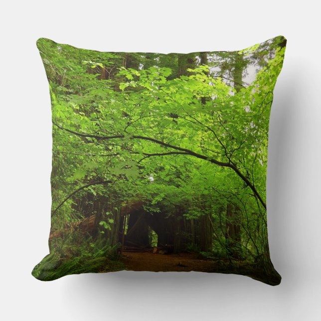 Coussin Érables dans la forêt de séquoias (Recto)