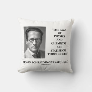 Coussin Erwin Schrödinger Physique Chimie Statistiques