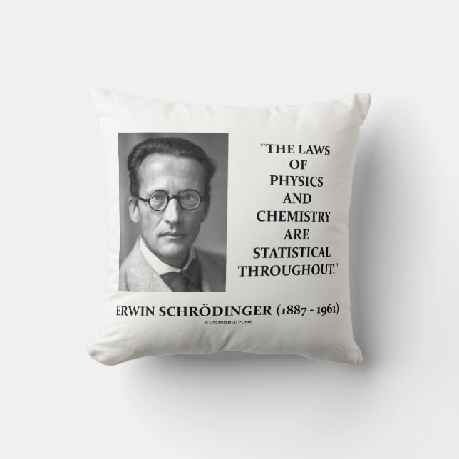 Coussin Erwin Schrödinger Physique Chimie Statistiques (Recto)