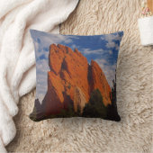 Coussin esprit de la montagne (Couverture)