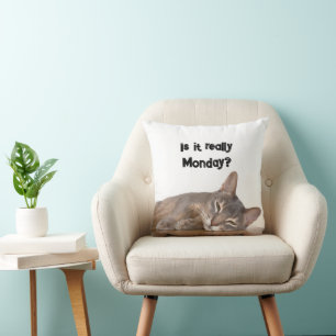 Coussin Est-Ce Vraiment Lundi ? Mème de chat Abyssinien dr