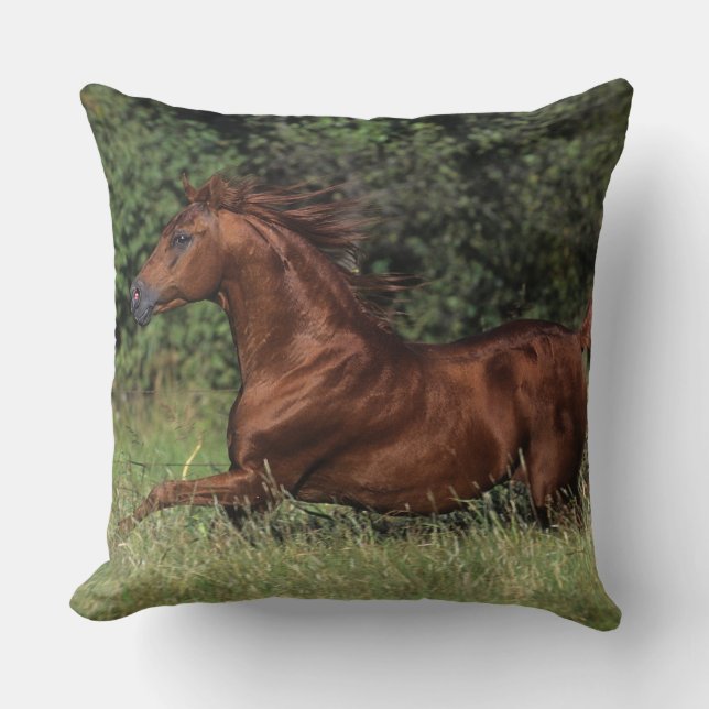 Coussin Étalon arabe fonctionnant dans l'herbe (Recto)