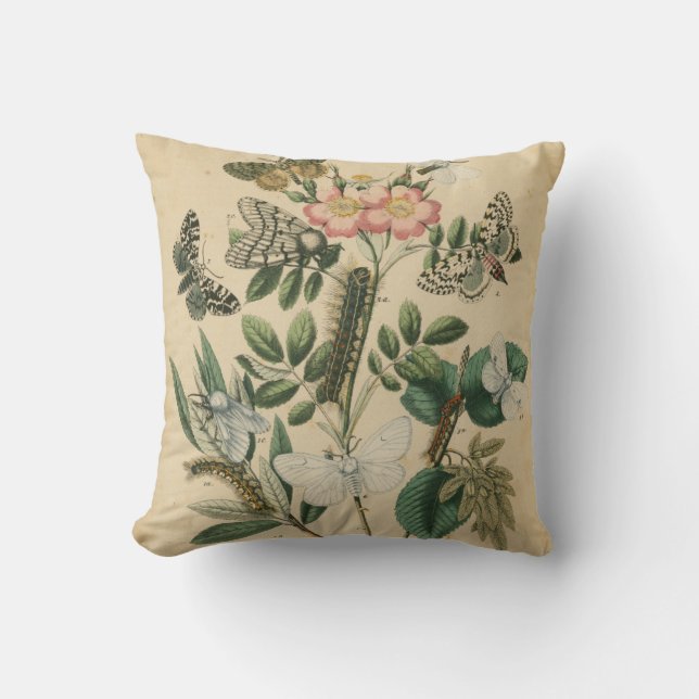 Coussin Étapes de la vie des papillons par Vision Studio (Recto)