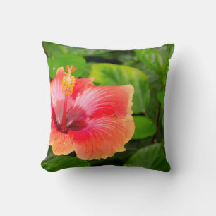 Coussin États-Unis, Alabama, Theodore près de Mobile 4
