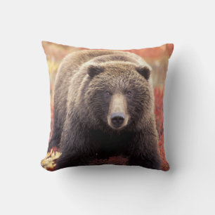 Coussin États-Unis, Alaska, Parc national Denali, ours gri