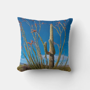 Coussin États-Unis, Arizona. Cactus dans le parc national