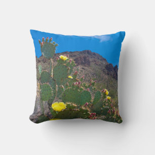 Coussin États-Unis, Arizona. Cactus dans les collines