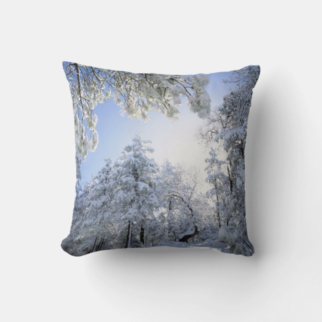 Coussin États-Unis, Californie, Cleveland National Forest, (Recto)