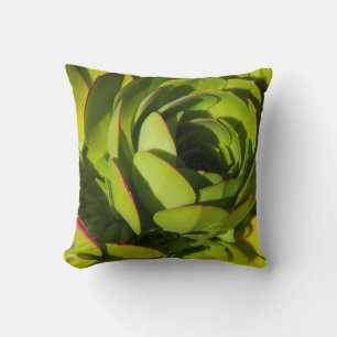 Coussin États-Unis, Californie. Fermeture du Plante géan
