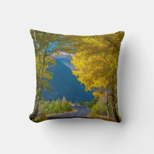 Coussin États-Unis, Colorado. Route flanquée de trembles
