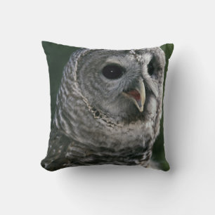Coussin États-Unis, État de Washington. Chouette rayée (St