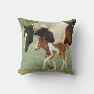 Coussin États-Unis, Floride, Poulain Paint nouveau-né