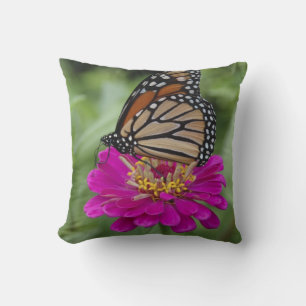 Coussin États-Unis, Massachusetts, Boylston, Tower Hill