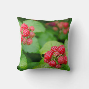 Coussin États-Unis, Massachusetts, Nantucket. Framboise