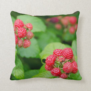 Coussin États-Unis, Massachusetts, Nantucket. Framboise