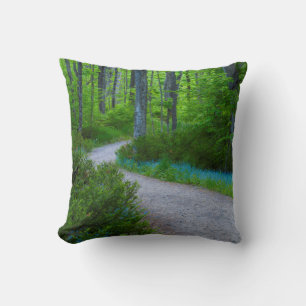 Coussin États-Unis, Michigan. Chemin à travers les bois