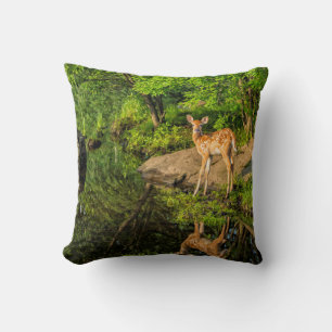 Coussin États-Unis, Minnesota, Sandstone, faune du Minneso